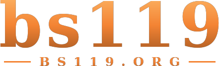 bs119 logo